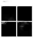 Fig. 06 - Evaluation method of organic or bio-conjugation on nanoparticles using imaging of time-of-flight secondary ion mass spectrometry