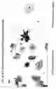 Fig. 09 - METHODS AND COMPOSITIONS FOR THE DETECTION OF CERVICAL DISEASE