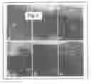 Fig. 04 - Methods for the generation of cartilage-like material by mechanical loading