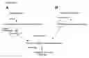 Fig. 02 - ENZYMATIC METHODS FOR MEASURING PLASMA AND TISSUE SPHINGOMYLELIN AND PHOSPHATIDYLCHOLINE