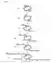 Fig. 02 - Method for Gene Amplification