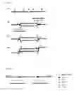 Fig. 03 - Method for Gene Amplification