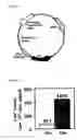 Fig. 04 - Method for Gene Amplification