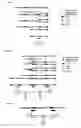 Fig. 07 - Method for Gene Amplification