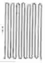 Fig. 02 - NUCLEIC ACIDS ENCODING A G-PROTEIN COUPLED RECEPTOR INVOLVED IN TASTE TRANSDUCTION