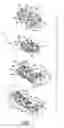 Fig. 02 - Hospital grade electrical receptacle