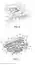 Fig. 07 - Hospital grade electrical receptacle