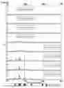Fig. 05 - METHOD AND USE OF MICROARRAY TECHNOLOGY AND PROTEOGENOMIC ANALYSIS TO PREDICT EFFICACY OF HUMAN AND XENOGRAPHIC CELL, TISSUE AND ORGAN TRANSPLANT