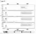 Fig. 06 - METHOD AND USE OF MICROARRAY TECHNOLOGY AND PROTEOGENOMIC ANALYSIS TO PREDICT EFFICACY OF HUMAN AND XENOGRAPHIC CELL, TISSUE AND ORGAN TRANSPLANT