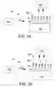 Fig. 04 - Surface enhanced raman spectroscopy (SERS) systems and methods of use thereof