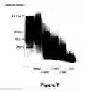 Fig. 07 - NUCLEIC ACID LIBRARIES AND PROTEIN STRUCTURES