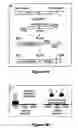 Fig. 09 - NUCLEIC ACID LIBRARIES AND PROTEIN STRUCTURES