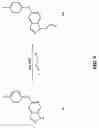 Fig. 07 - P38 inhibitors and methods of use thereof