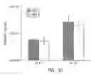 Fig. 09 - Stereochemically defined dipeptide esters of antiviral agents for enhanced ocular treatment