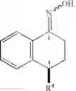 Fig. 02 - Preparation of chiral amides and amines