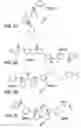 Fig. 06 - Optical determination of glucose utilizing boronic acid adducts