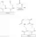 Fig. 35 - Optical determination of glucose utilizing boronic acid adducts