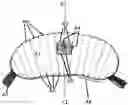 Fig. 01 - Weighted lap pad with sensory attachments