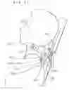 Fig. 22 - MASSAGE UNIT AND MASSAGE MACHINE OF CHAIR TYPE HAVING THE UNIT