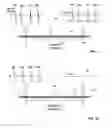 Fig. 02 - System for chemical modulation of neural activity
