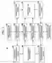 Fig. 02 - Structured document processor