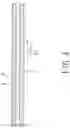Fig. 05 - Electric Heating Device
