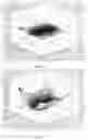 Fig. 14 - Optical wavefront sensor and optical wavefront sensing method