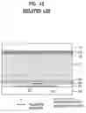 Fig. 06 - Electrically-driven liquid crystal lens and stereoscopic display device using the same