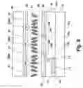 Fig. 09 - Vertically aligned liquid crystal display