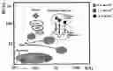 Fig. 01 - COMPOSITION COMPRISING A CONDUCTIVE POLYMER IN COLLOIDAL FORM AND CARBON