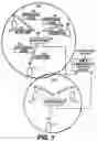 Fig. 02 - Method of mobile communication and apparatus therefor
