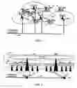 Fig. 02 - Synergetic transmitting system for digital broadcast SFN and method thereof