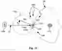 Fig. 13 - Apparati and methods for sound transduction with minimal interference from background noise and minimal local acoustic radiation