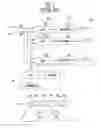 Fig. 02 - APPARATUS FOR GENERATING DIRECTIONAL SOUND AND MOBILE TERMINAL USING THE SAME