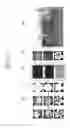 Fig. 07 - Method and system for 2D image transformation with various artistic effects