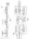 Fig. 02 - Automated determination of cross-stream wind velocity from an image series