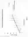 Fig. 04 - Characterizing wood furnish by edge pixelated imaging
