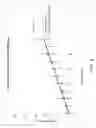 Fig. 05 - Characterizing wood furnish by edge pixelated imaging