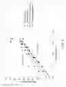 Fig. 06 - Characterizing wood furnish by edge pixelated imaging