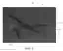 Fig. 06 - Camouflage patterns, arrangements and methods for making the same