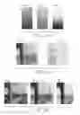 Fig. 19 - Identification and verification of an unknown document according to an eigen image process