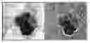 Fig. 01 - Characterizing a texture of an image