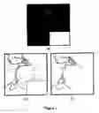 Fig. 08 - Linear feature detection method and apparatus