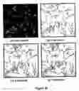 Fig. 17 - Linear feature detection method and apparatus