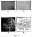 Fig. 22 - Linear feature detection method and apparatus