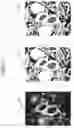 Fig. 07 - Apparatus and method for transforming image in mobile device