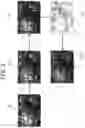 Fig. 09 - Apparatus and method for transforming image in mobile device