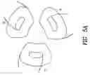 Fig. 06 - Rotary pump with hydrodynamically suspended impeller