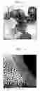 Fig. 04 - Method of preparing graphene shell and graphene shell prepared using the method