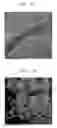 Fig. 06 - Method of preparing graphene shell and graphene shell prepared using the method